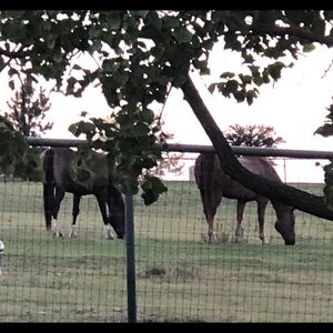 Meet your Posher, Sally